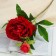 Artificial flowers "duo peony" 12x60 cm, red