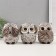 Souvenir Polystone "Filin - I do not see, I do not hear, I will not say" mix 9.5x10x13 cm