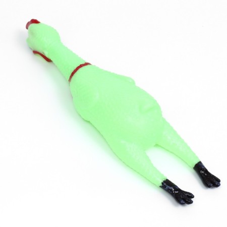 Brying toy "Bluming chicken" for dogs, 28 cm, green-2