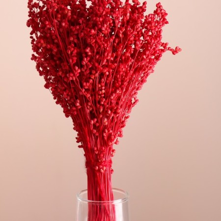 A set of dried flowers "sorgho", banch 3-5 pcs, length 60 (+/- 6 cm), red-1