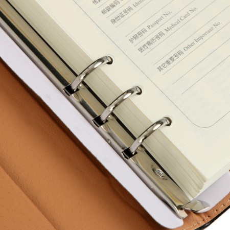 Organizer on the rings A5, 90 sheets in the ruler, with a stream, mix-9