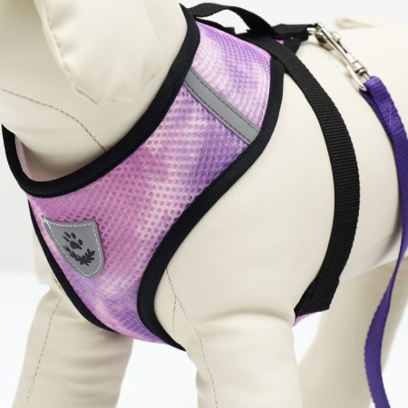 A set for dogs 3-5 kg, size S, leash 120 x 1.5 cm, Osh 24 cm, OG 34 cm-4