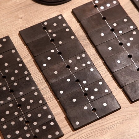 Hand game "Domino" 14x14x30 cm, mane-4