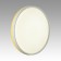 Lamp Kezo Yellow LED 70W 3000-6000K D500 IP43, with PDU