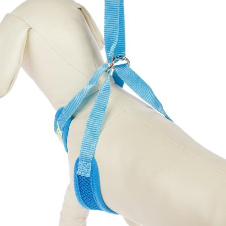 The train is adjustable breathing, reflective, size XL (Osh 48-68; OG 58-72 cm), blue-1