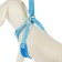 The train is adjustable breathing, reflective, size XL (Osh 48-68; OG 58-72 cm), blue