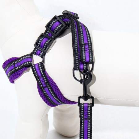 The ammunition set is soft, reflective, leash 120 x 2 cm, Osh 25-72 cm, purple-5