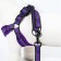 The ammunition set is soft, reflective, leash 120 x 2 cm, Osh 25-72 cm, purple