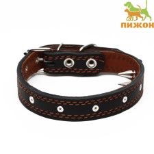 The leather collar 