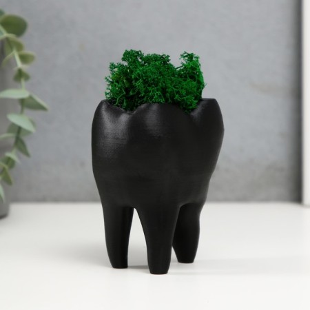 Concrete Kashpo "tooth" with moss black 7.5x6.5x9.5 cm (moss green stabilized)-1