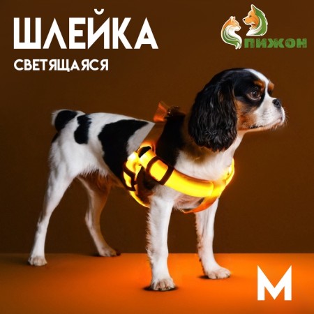 Shleka luminous size m, sling 2.5 cm, og 38-50 cm, 3 glow modes yellow
