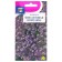 Flower seeds Alissum "Violet Queen", 0.1 g