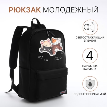 Youth backpack from textiles on a zipper, waterproof, 4 pockets, black color