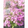 Alpine “Raurus” Arabis seeds, pink, 0.05 g