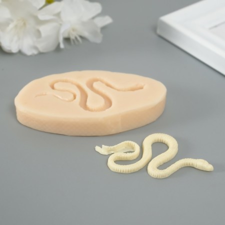 Mold Silicon "Snake crawls" 0.3x5.6x3.1 cm-1