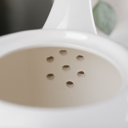 The kettle "Little Prince", 1.2 liters-3
