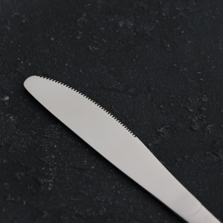 The table "Classic" knife, length 22 cm, thickness 4 mm, stainless steel-1