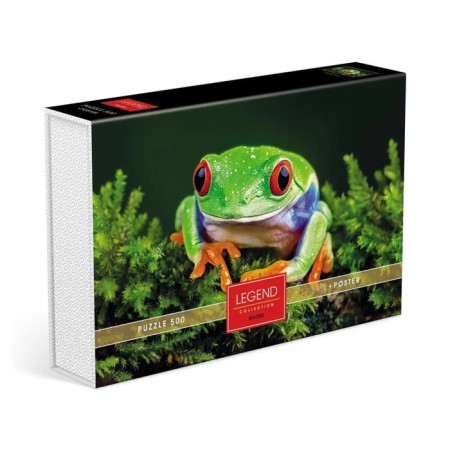 Puzzles "Princess Frog" in a gift box, 500 elements + poster