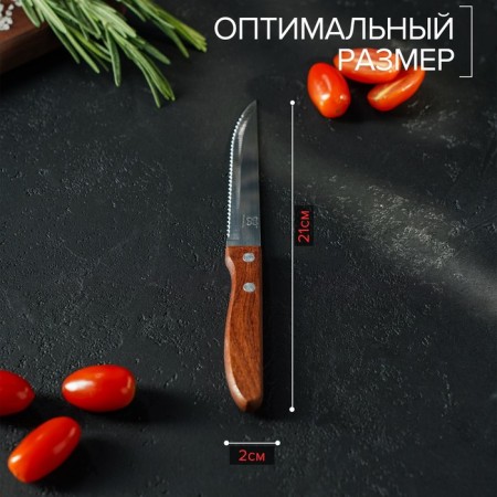Knife Kitchen shade "Elbrus", gear blade 11.5 cm-2