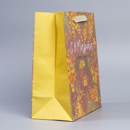 Package Gift Craft Vertical, Packaging, Mimosa, Ml 27 x 23 x 11.5 cm-1