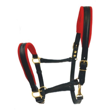 Pony Unserlit, foals, leather, brass, red, ks409