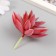 Artificial succulent for creating Florarium "Echevereria Ruby" d = 8.8 cm