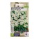 Seeds of flowers bell "Eppil", White, F1, 3 pcs.
