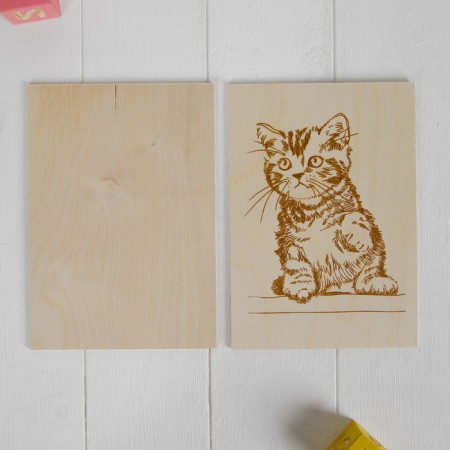 Boards for burning "cat", 2 pcs.-1