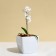 Flower pot, 15 × 15 cm, 2.5 l, plastic, white