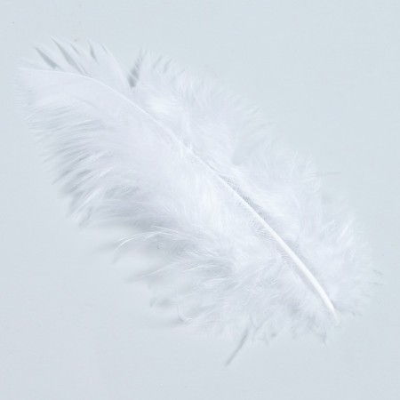 A set of feathers for decor 10 pcs., Size 1 pcs: 10 × 2 cm, white color-2