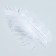 A set of feathers for decor 10 pcs., Size 1 pcs: 10 × 2 cm, white color