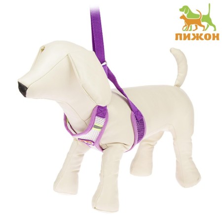 The train is adjustable breathing, reflective, size S (Osh 14-30; og 20-40 cm), purple