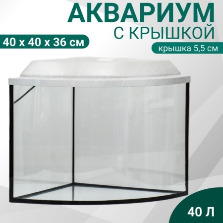 Aquarium "Sector" corner with a lid, 40 liters, 40 x 40 x 36/41.5 cm, bleached oak