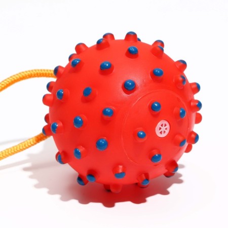 Brying "Ball on the rope" for dogs, 8 cm, red-1
