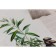 The oilcloth "Lario" "Run" 140 cm, 20 p.m., DM80
