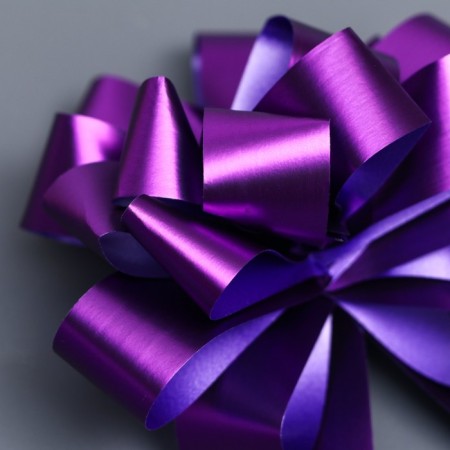 Bant-Shar No. 1.8 "Classic", purple color-2