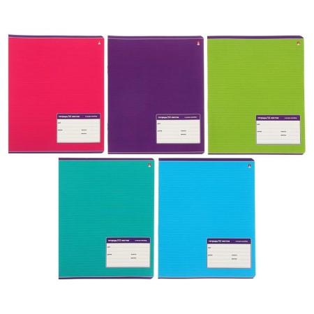 Notebook 12 sheets in the slanting line "Classic", cover covered paper, mix