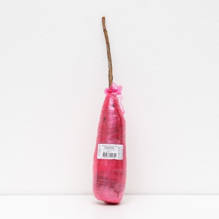 Raspberry repair varieties "Eurasia", 1 pc, tube, spring 2025-1