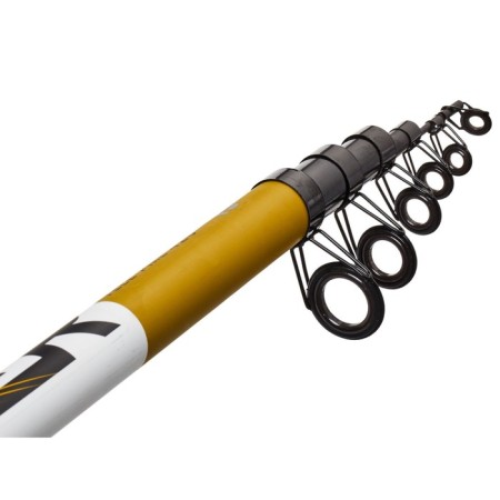 Float rod with Salmo Blaster Tele Pike 4.20 rings-3