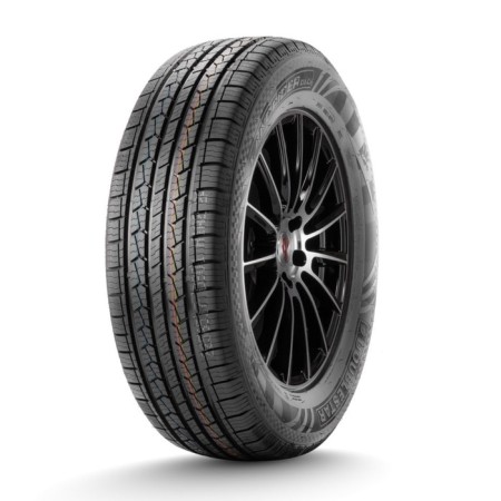 Summer tire DoubleStar DS01 225/70 R16 103T
