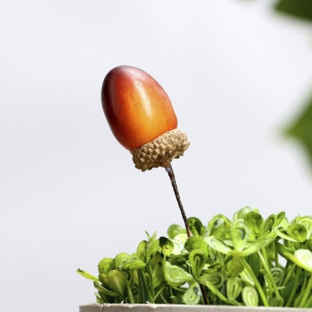 Set of plugs "Acorn" 30pcs, 3x2cm-1