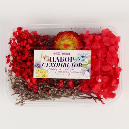 Set of dried flowers "South sunset"-3