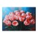 Picture on canvas "Bouquet of pink tulips" 50*70 cm