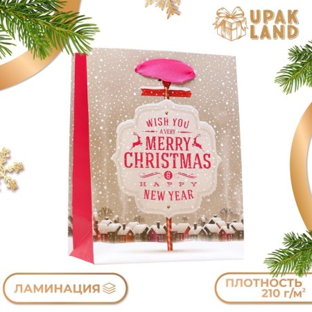 Laminated "New Year's Positive" package 11.5 x 14.5 x 6 cm-2