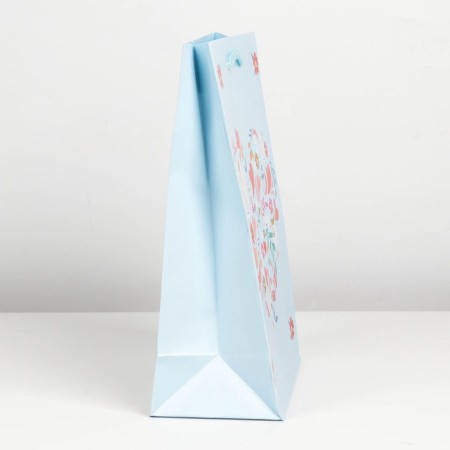 Gift laminated package, packaging, Pressent for You, MS 18 x 23 x 8 cm-2