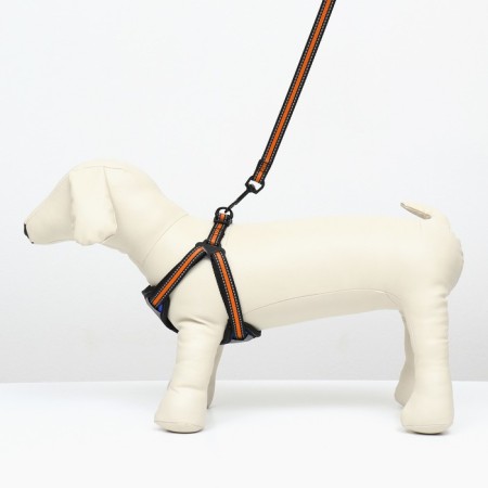The ammunition set is reflective, size m, og 40-70 cm, sling 2 cm, orange-6