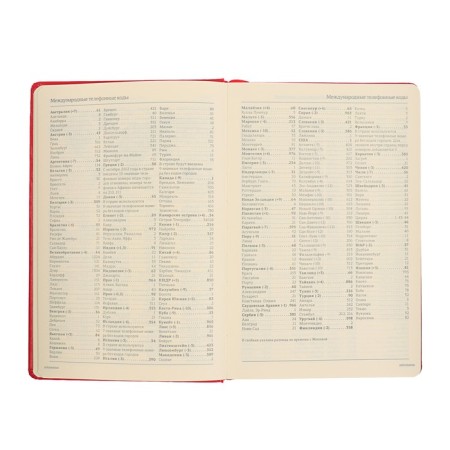 Deliciper of Leduced A5, 160 MEGAPOLIS sheets, hard cover, artificial leather, red-5