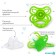 Nipple - Silicone dummy classic “butterfly”, from 6 months, with a cap, green color