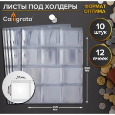 Set of sheets for holders, Optima format, 10 sheets 200 x 250 mm, 12 x 50 mm cells 50 x 50 mm