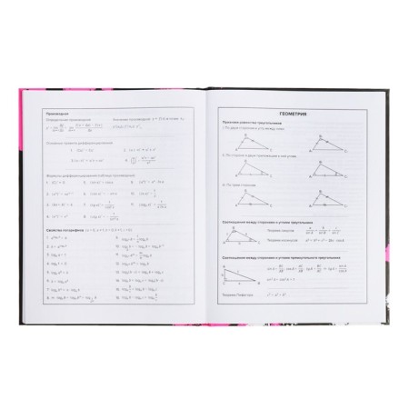 School diary for grades 1-11, 48 sheets "Rabbit Graffiti", hard cover, matte lamination, universal cheat sheet, block 65g/m2-9